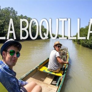 Tour manglar + entrada  a la isla del pescado baile Afro