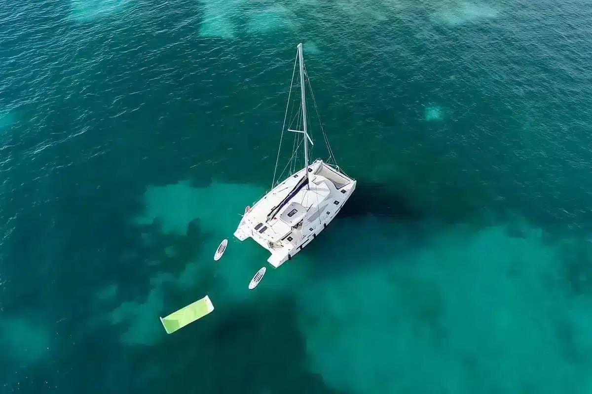 Catamarán Avalon One